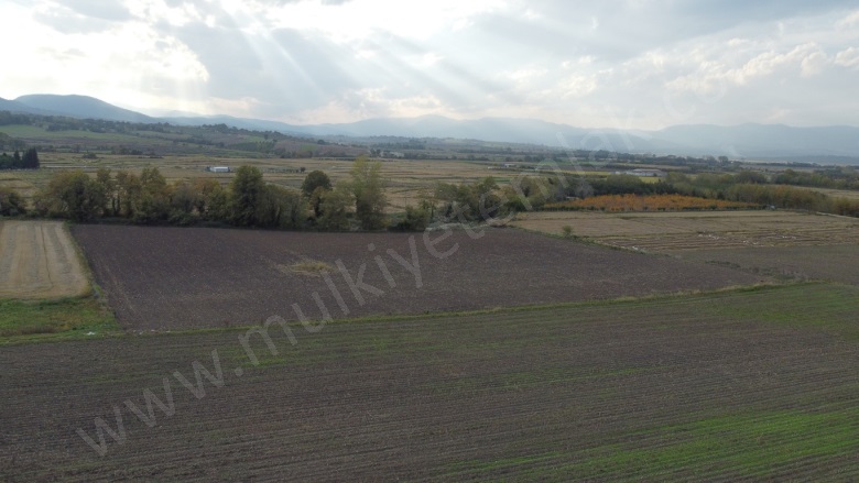 Tütüncü Mah. Gönen Satılık Tarla |  18463M2 12.000.000Tl Resim-4