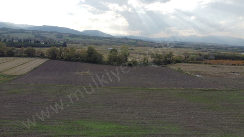 Tütüncü Mah. Gönen Satılık Tarla |  18463M2 12.000.000Tl Resim-5