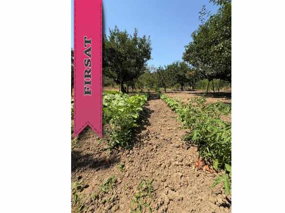 3 Dönüm Fırsat Meyvelik Baraj Dibi Hiç Eksiksiz Satılık Tarla Gönen Ilıcaoba Mah