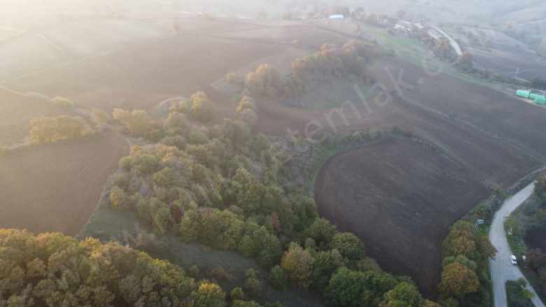 Ana Yola 1 Parsel Ucuz Satılık Tarla Balıkesir Manyas Doğancı Mah