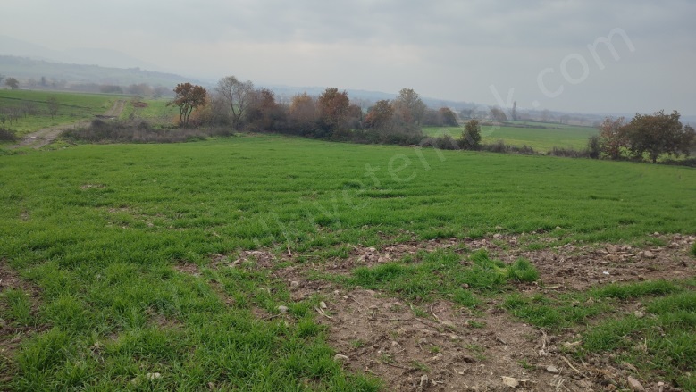 Tütüncü Mah. Gönen Satılık Tarla |  5178M2 2.700.000Tl Resim-1