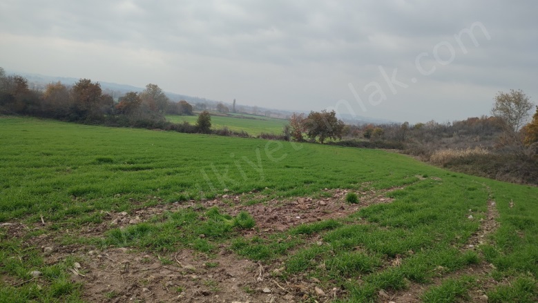 Tütüncü Mah. Gönen Satılık Tarla |  5178M2 2.700.000Tl Resim-2