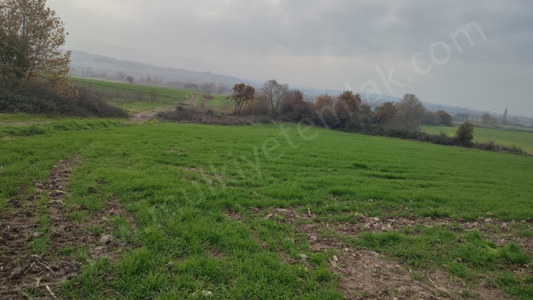 Tütüncü Mah. Gönen Satılık Tarla |  5178M2 2.700.000Tl Resim-3