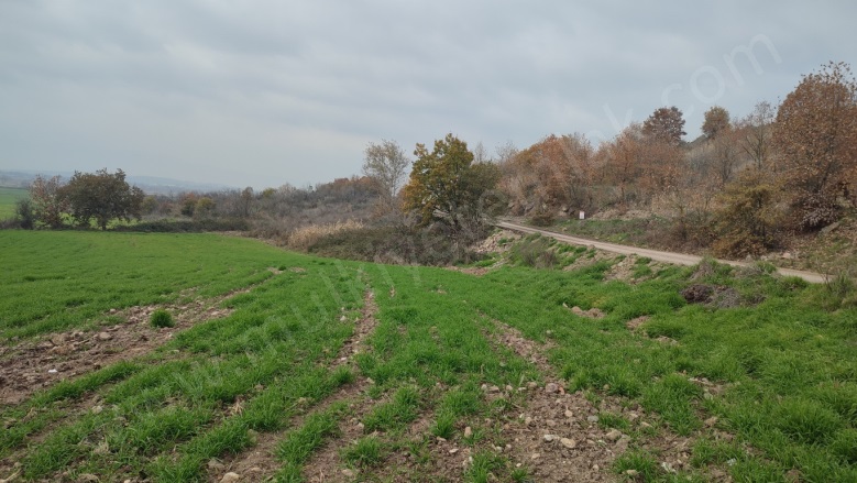 Tütüncü Mah. Gönen Satılık Tarla |  5178M2 2.700.000Tl Resim-4