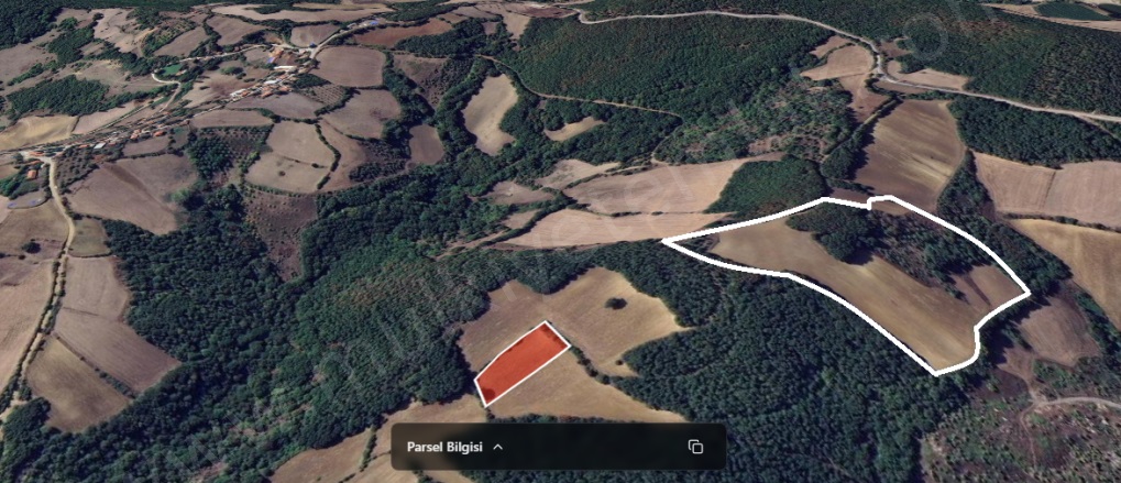 Doğancı Mah. Manyas Satılık Tarla |  48129M2 3.950.000Tl Resim-2