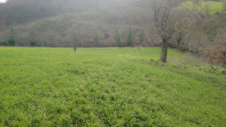 Tütüncü Mah. Gönen Satılık Tarla |  5662M2 2.150.000Tl Resim-2