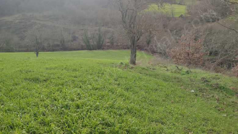 Anayol Üzerinde Satılık Tarla 5 Dönüm Gönen Tütüncü Mah