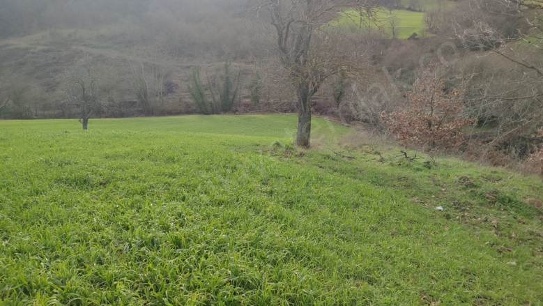 Tütüncü Mah. Gönen Satılık Tarla |  5662M2 2.150.000Tl Resim-3