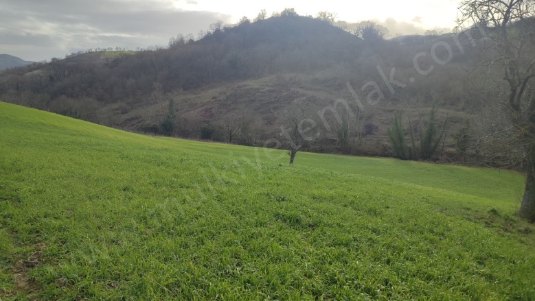 Tütüncü Mah. Gönen Satılık Tarla |  5662M2 2.150.000Tl Resim-4