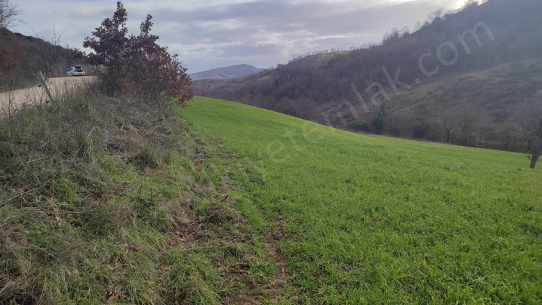 Tütüncü Mah. Gönen Satılık Tarla |  5662M2 2.150.000Tl Resim-5