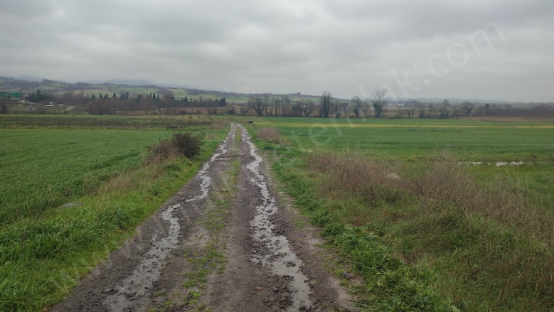 Tütüncü Mah. Gönen Satılık Tarla |  1460M2 750.000Tl Resim-3