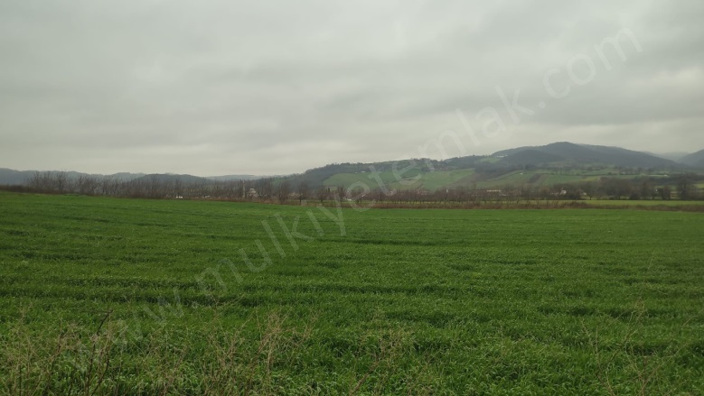 Tütüncü Mah. Gönen Satılık Tarla |  1460M2 750.000Tl Resim-4