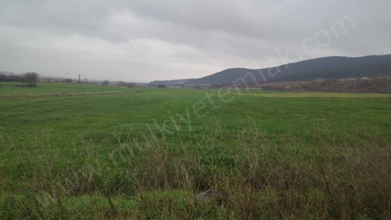 Tütüncü Mah. Gönen Satılık Tarla |  1460M2 750.000Tl Resim-5