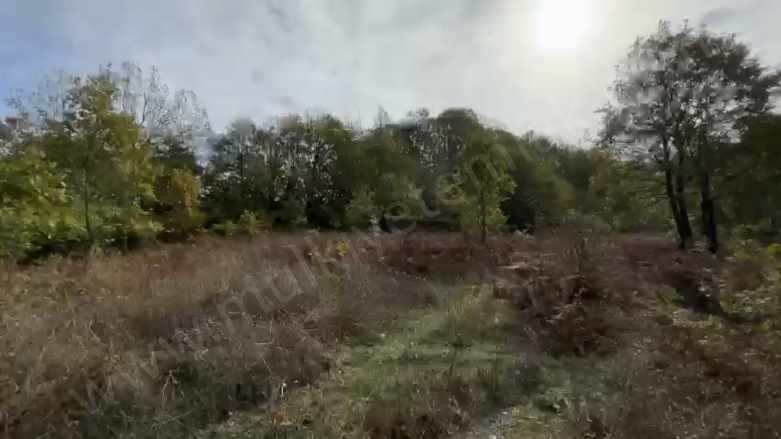 Kocapınarda içi Ağaç Dolu 10 Dönüm Satılık Tarla Gönen Kocapınar Mah