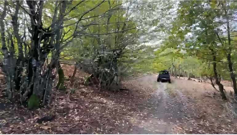 Kocapınarda içi Ağaç Dolu 10 Dönüm Satılık Tarla Gönen Kocapınar Mah