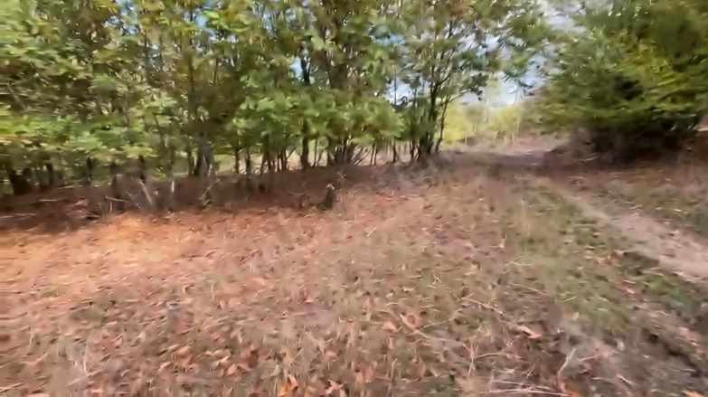 Kocapınarda içi Ağaç Dolu 10 Dönüm Satılık Tarla Gönen Kocapınar Mah