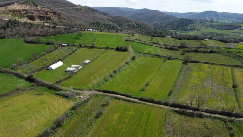 Tütüncü Mah. Gönen Satılık Tarla |  2440M2 1.600.000Tl Resim-2