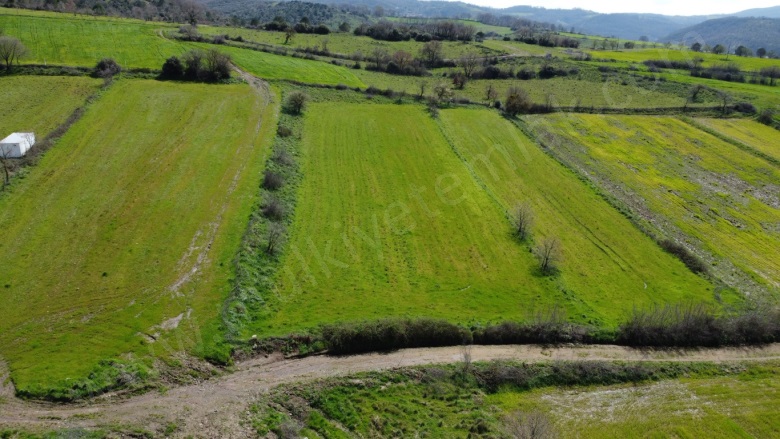 Tütüncü Mah. Gönen Satılık Tarla |  2440M2 1.600.000Tl Resim-4