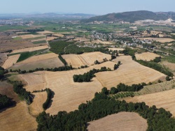 Gönen Çınarlı Mah. Satılık Tarla 47903 M2