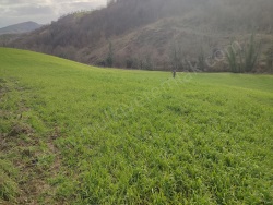 Gönen Tütüncü Mah. Satılık Tarla 5662 M2