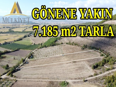 Gönene Yakın Her İşe Uygun 7 Dönüm Satılık Tarla Tütüncü Mah