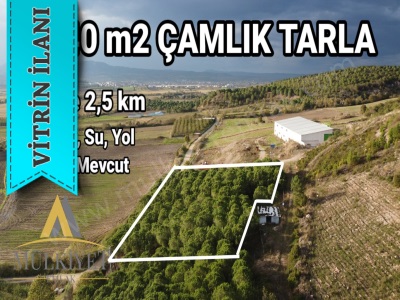 Gönen Tütüncüde Çamlık Elektrik Su Var Satılık Tarla Tütüncü Mah