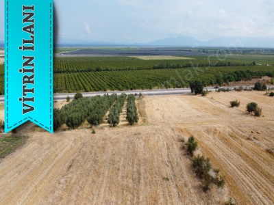 Deniz Manzaralı Satılık Tarla 4 750 M2 Gönen Çifteçeşmeler Mah