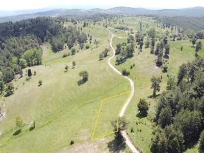 Tavşanlı Üyücekte Satılık Tarla 2 Dönüm Üyücek Köyü