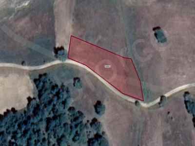 Field For Sale in  Turkey, Kutahya, Tavsanli, Uyucek Koyu , 1963 m2