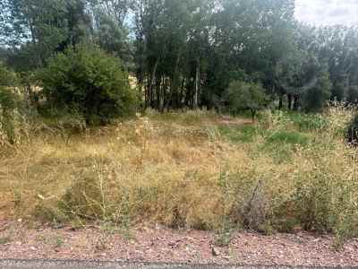 Field For Sale in  Turkey, Kutahya, Tavsanli, Uyucek Koyu , 377 m2