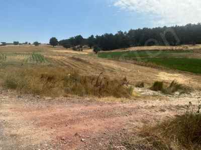 Ackerland Kaufen In  Türkei, Kutahya, Tavsanli, Uyucek Koyu , 496 m2