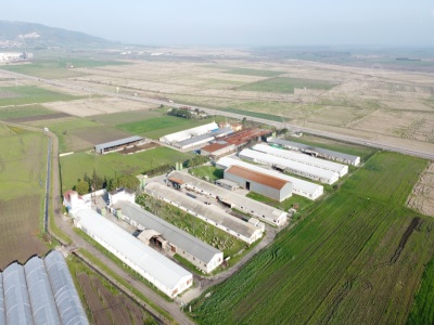 Organizeye Yakın Komple Ve Seralar Satılık Çiftlik Gönen Tuzakçı Mah