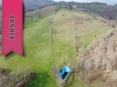 11 Dönüm Kelepir 4 Yaşında Cevizlik Satılık Tarla Gönen Kocapınar Mah