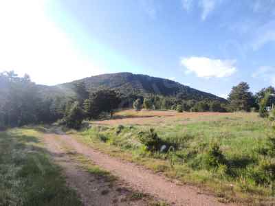 Ackerland Kaufen In  Türkei, Kutahya, Aslanapa, Tokul Koyu 