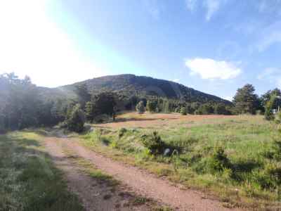 Field For Sale in  Turkey, Kutahya, Aslanapa, Tokul Koyu 