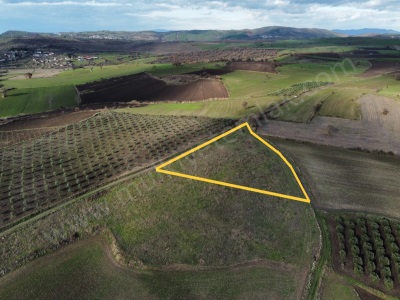 Körpeağaç Mahllesinde Satılık Tarla Köşe Parsel 6 200M2 Gönen Mah