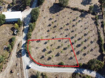 1 Dönüm Satılık Tarla İmara Sıfır Hobi Bahçesi Gönen Osmanpazar Mah