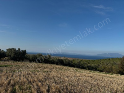 Bandırma Misakça Deniz Manzaralı Satılık Tarla Mah