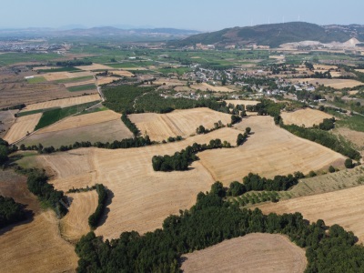 Gönen Çınarlıda 48 Dönüm Satılık Tarla Çınarlı Mah