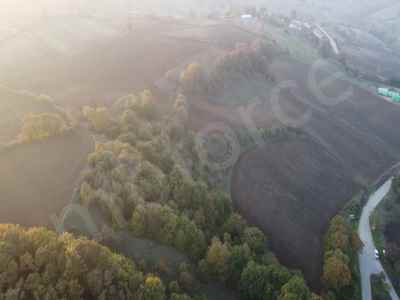 Field For Sale in  Turkey, Balikesir, Manyas, Doganci neighborhood , 15330 m2