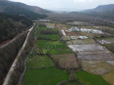 Geyiklide 4 Dönüm Cevizlik Yol Su Var Satılık Tarla Gönen Geyikli Mah