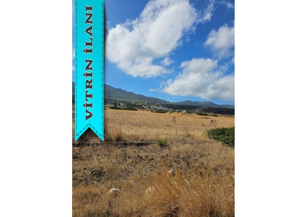 Merkez İskele Satılık Arsa |  3409M2 710.000£ İmarlı  Resim-3