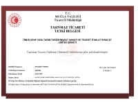 DANIŞMANLIK YETKİ BELGESİ
