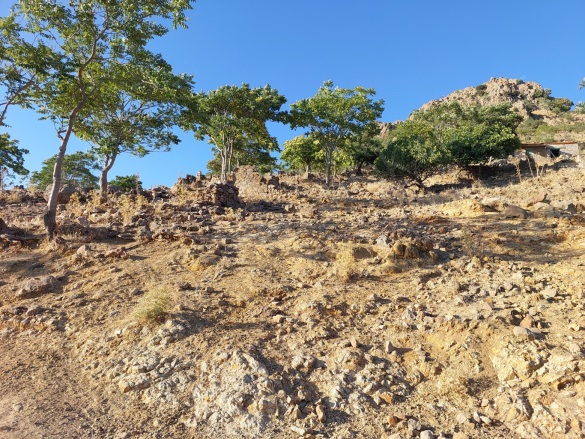 Kıratlı Mah. Dikili Satılık Arsa |  918M2 1.000.000Tl Resim-2