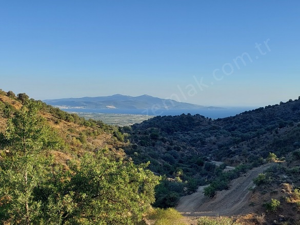 Kıratlı Mah. Dikili Satılık Arsa |  918M2 1.000.000Tl Resim-5