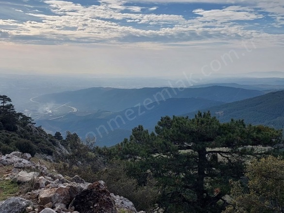 Dışkayaköyü Mah. Gürsu Satılık Tarla |  4660M2 1.500.000Tl Resim-2