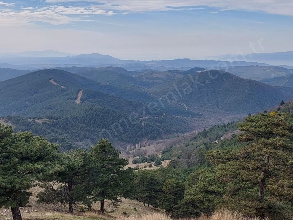 Dışkayaköyü Mah. Gürsu Satılık Tarla |  4660M2 1.500.000Tl Resim-3