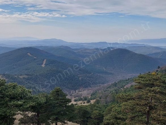 Dışkayaköyü Mah. Gürsu Satılık Tarla |  4660M2 1.500.000Tl Resim-4