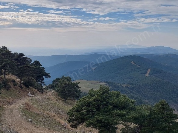 Dışkayaköyü Mah. Gürsu Satılık Tarla |  4660M2 1.500.000Tl Resim-5