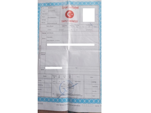 Kaymakoba Mah. Mudanya Satılık Tarla |  673M2 1.000.000Tl Resim-5